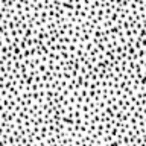 Meet your Posher, Logan